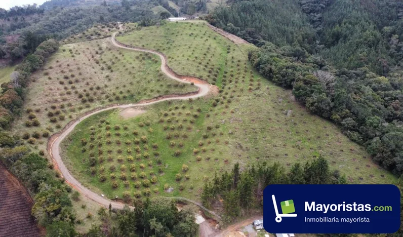 Finca agrícola de 15 ha en Abejorral, Antioquia
