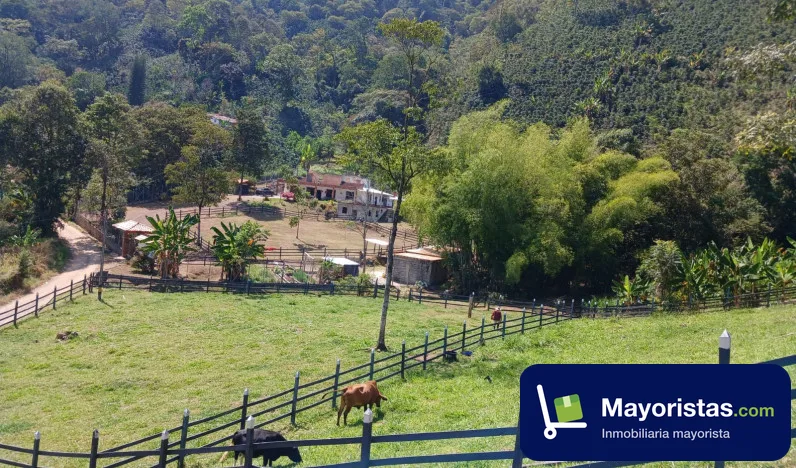 Lote de 1,2 ha en Betania, Antioquia