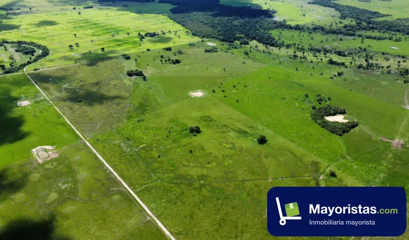 Finca ganadera de 520 ha en Yopal, Casanare