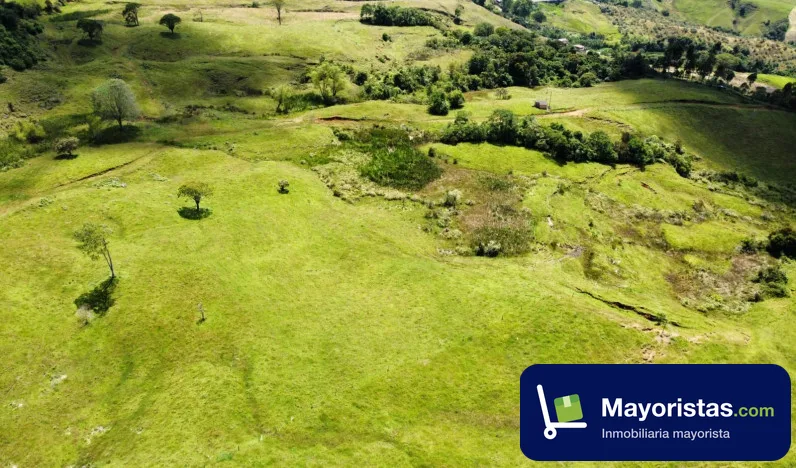 Finca ganadera de 55 ha en Jericó, Antioquia — foto 10 de 10