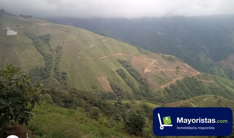 Finca agrícola de 39 ha en Belmira, Antioquia
