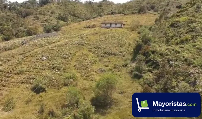 Lote de 9,2 ha en El Carmen de Viboral, Antioquia — foto 10 de 10