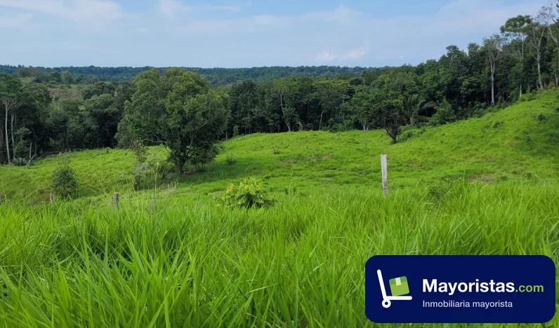 Finca ganadera de 130 ha en Barrancabermeja, Santander