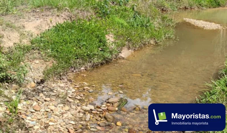 Finca ganadera de 130 ha en Barrancabermeja, Santander — foto 9 de 10