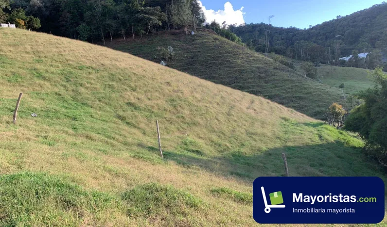 Finca ganadera de 8 ha en La Ceja, Antioquia