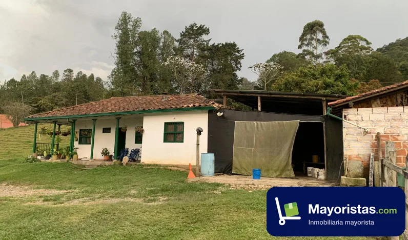 Finca ganadera de 8 ha en La Ceja, Antioquia — foto 10 de 10