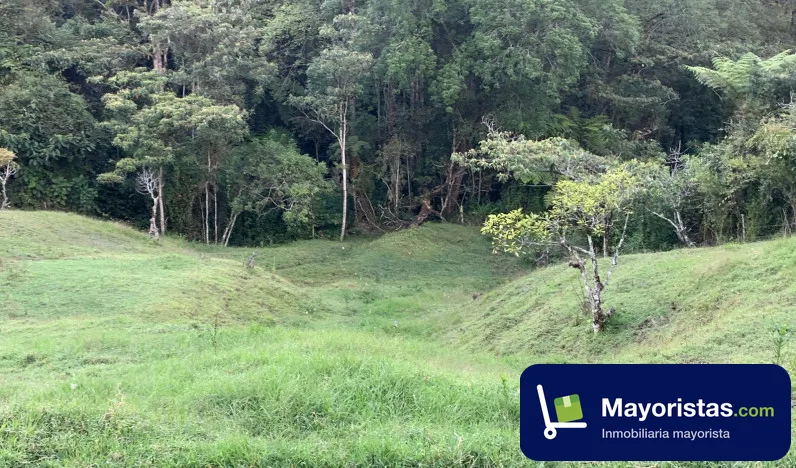 Finca ganadera de 8 ha en La Ceja, Antioquia — foto 9 de 10