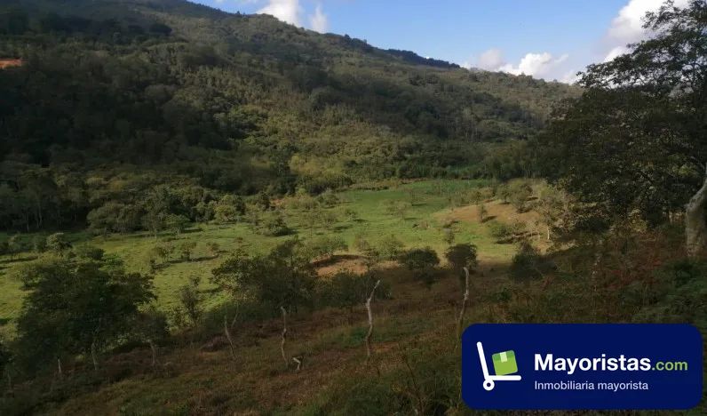 Finca ganadera de 54 ha en San Gil, Santander