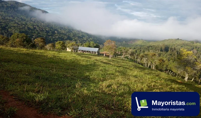 Finca ganadera de 54 ha en San Gil, Santander — foto 9 de 10