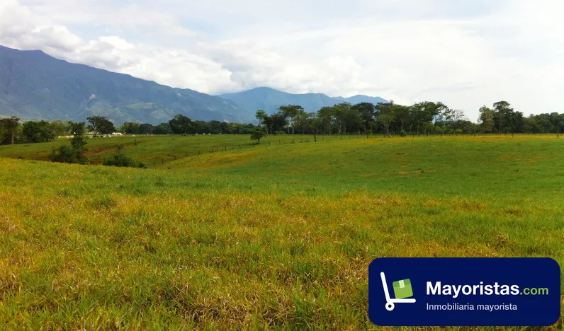 Finca ganadera de 19 ha en Restrepo, Meta