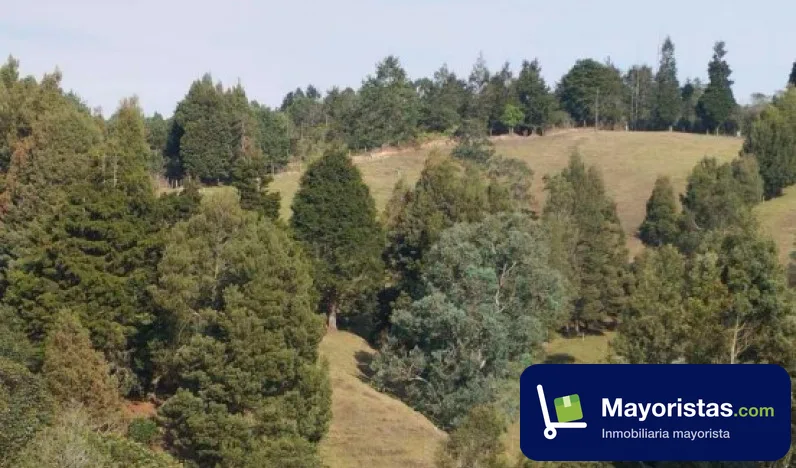 Finca ganadera de 15,9 ha en Guarne, Antioquia — foto 9 de 10
