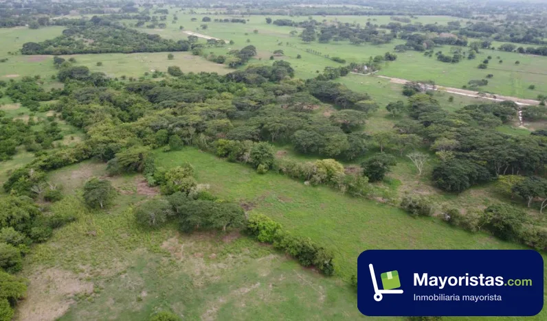 Lote de 9,4 ha en Montería, Córdoba — foto 10 de 10