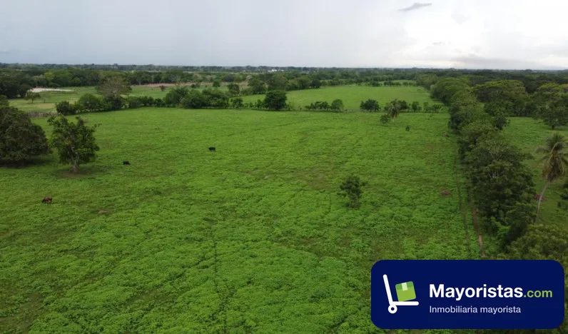 Lote de 9,4 ha en Montería, Córdoba — foto 9 de 10