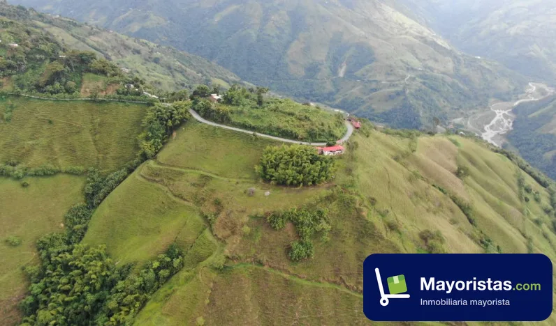 Finca ganadera de 132 ha en Pácora, Caldas