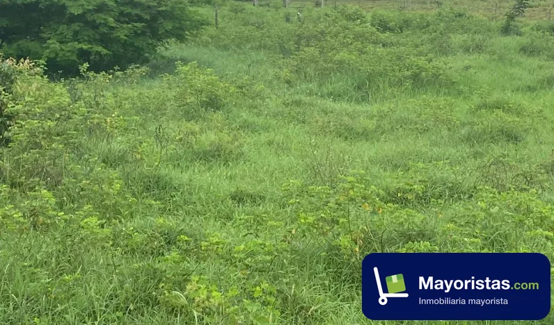 Finca ganadera de 19 ha en Sahagún, Córdoba