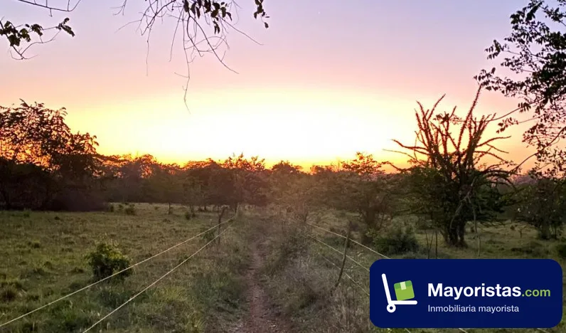 Finca ganadera de 19 ha en Sahagún, Córdoba — foto 10 de 10