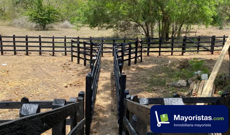 Finca ganadera de 19 ha en Sahagún, Córdoba — foto 9 de 10