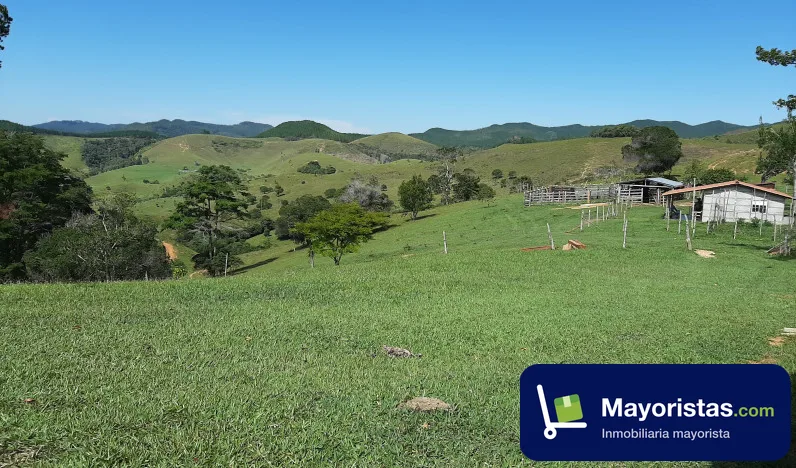 Finca ganadera de 220 ha en Vegachí, Antioquia — foto 10 de 10