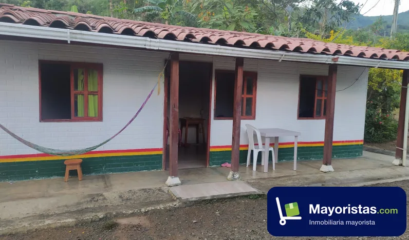 Finca ganadera de 12 ha en Fredonia, Antioquia — foto 9 de 9