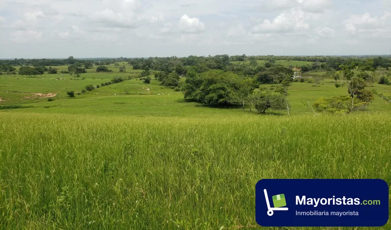 Finca ganadera de 57 ha en Buenavista, Córdoba