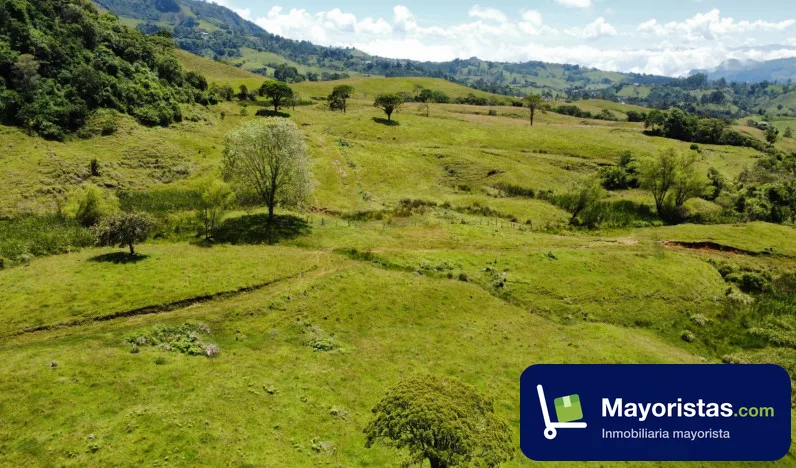 Lote de 5 ha en Jericó, Antioquia