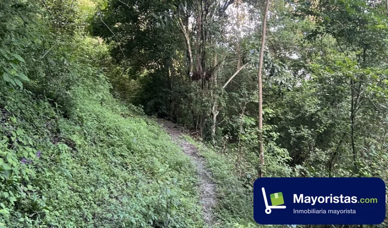 Lote de 6 ha en Liborina, Antioquia — foto 10 de 10