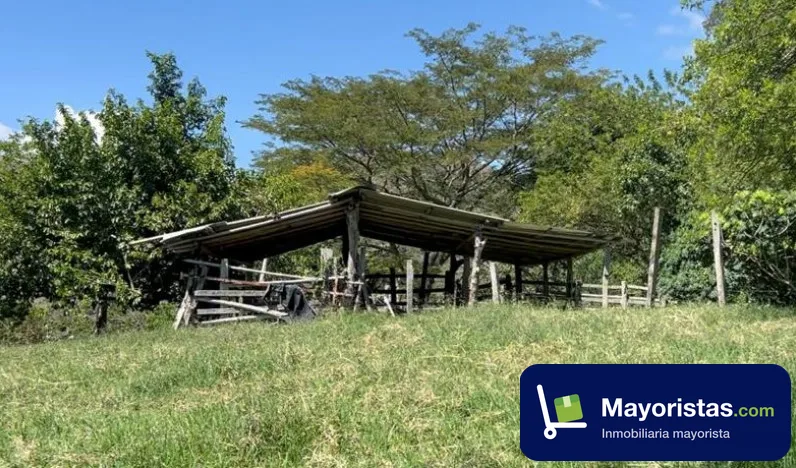 Finca ganadera de 184 ha en Liborina, Antioquia — foto 10 de 10