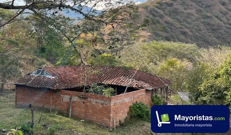 Finca ganadera de 184 ha en Liborina, Antioquia — foto 9 de 10