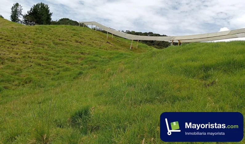 Finca ganadera de 21,2 ha en La Unión, Antioquia