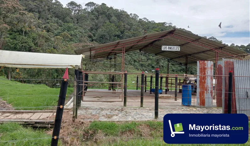 Finca ganadera de 21,2 ha en La Unión, Antioquia — foto 10 de 10