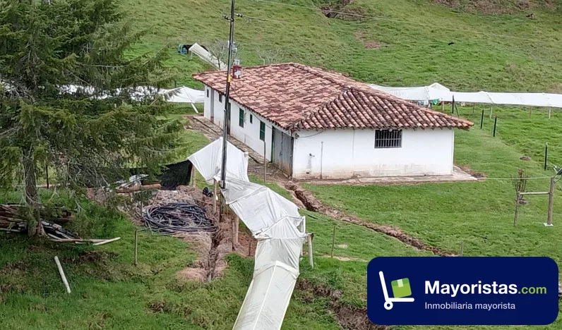 Finca ganadera de 21,2 ha en La Unión, Antioquia — foto 9 de 10