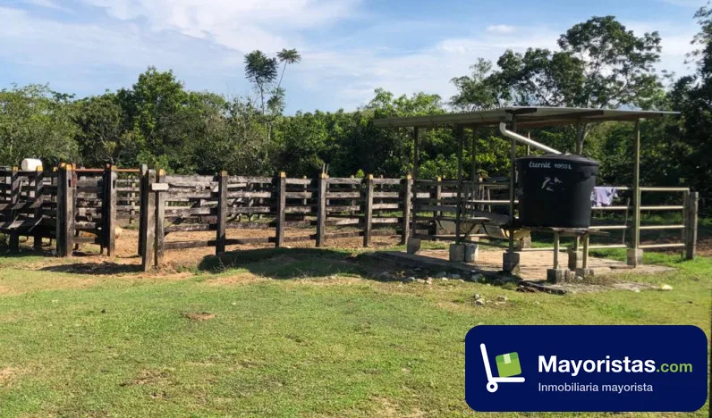 Finca ganadera de 101,2 ha en Puerto Triunfo, Antioquia — foto 9 de 9