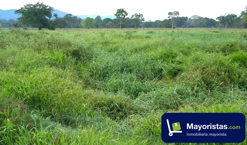 Finca ganadera de 66 ha en Puerto Boyacá, Boyacá