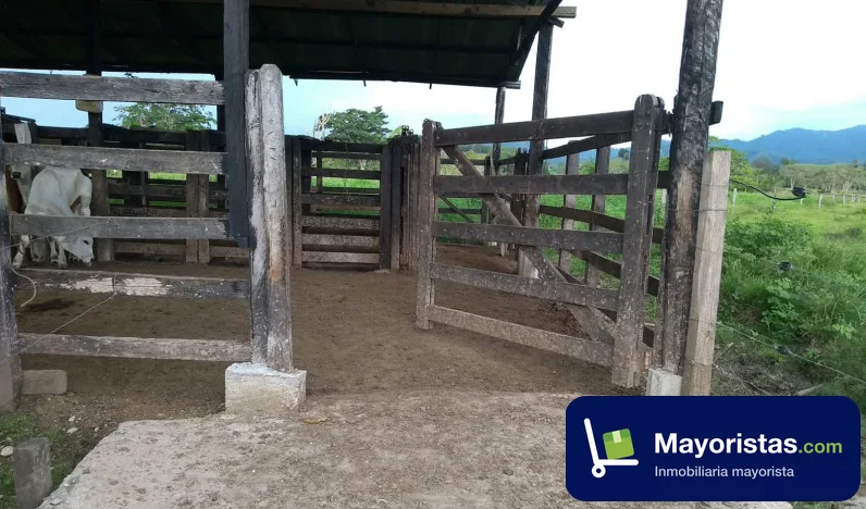 Finca ganadera de 66 ha en Puerto Boyacá, Boyacá — foto 9 de 10