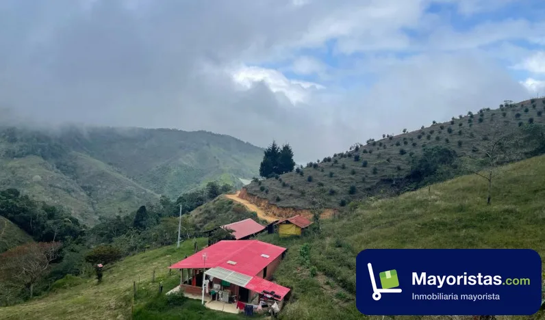 Finca ganadera de 48 ha en Urrao, Antioquia — foto 9 de 9