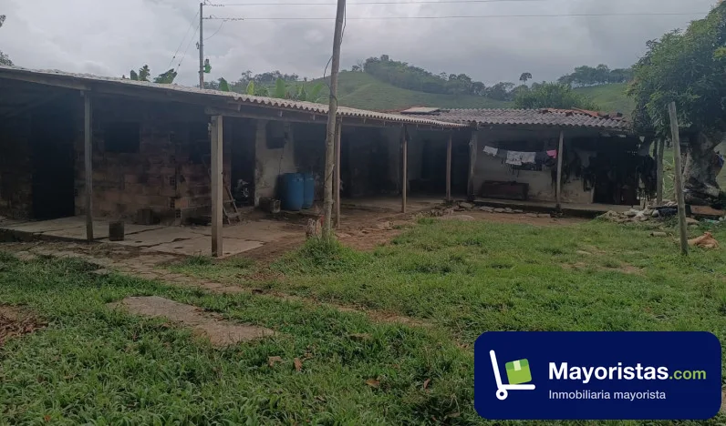 Finca ganadera de 500 ha en San Luis, Antioquia — foto 10 de 10