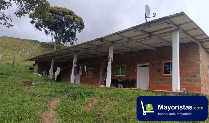 Finca ganadera de 500 ha en San Luis, Antioquia — foto 9 de 10