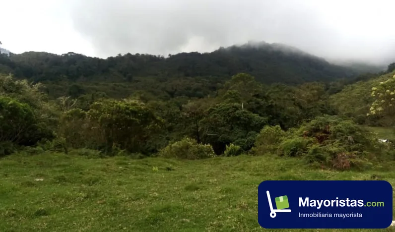 Finca ganadera de 325 ha en Mistrató, Risaralda — foto 10 de 10