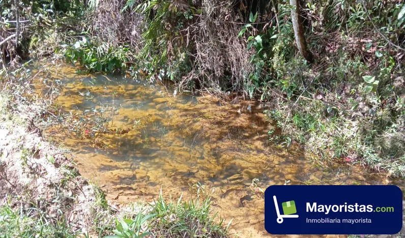 Finca agrícola de 130 ha en Granada, Antioquia — foto 9 de 10
