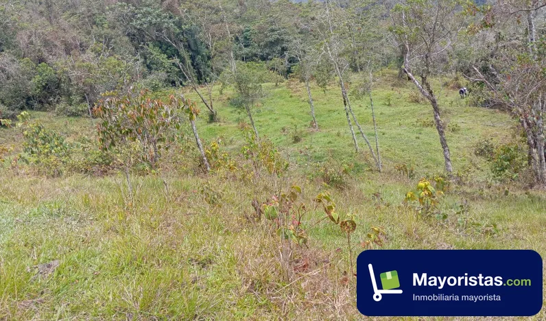 Finca agrícola de 150 ha en Granada, Antioquia
