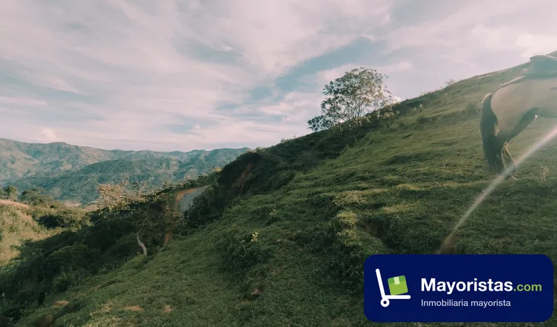 Lote de 0,7 ha en Cisneros, Antioquia
