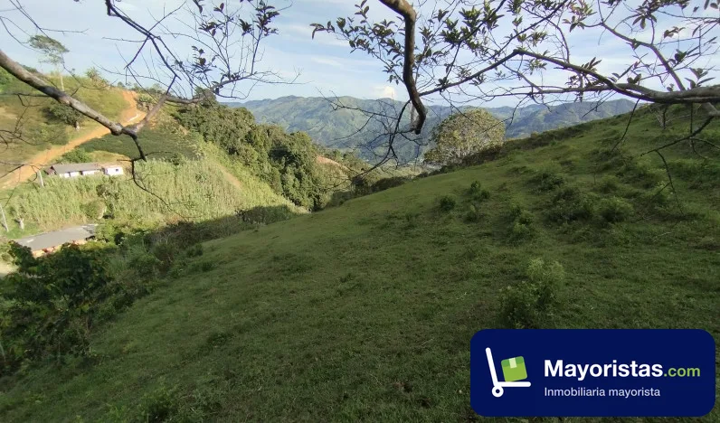 Lote de 0,7 ha en Cisneros, Antioquia — foto 9 de 10