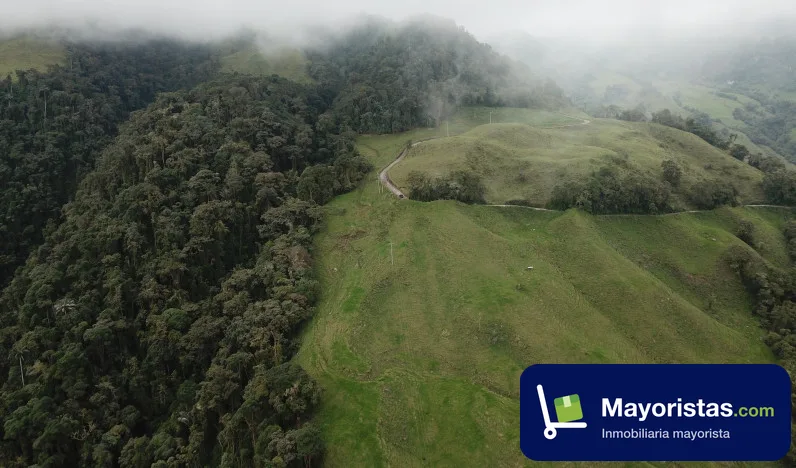 Finca ganadera de 558 ha en Villamaria, Caldas — foto 10 de 10