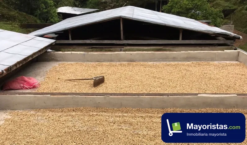 Finca cafetera de 170,7 ha en Andes, Antioquia — foto 10 de 10