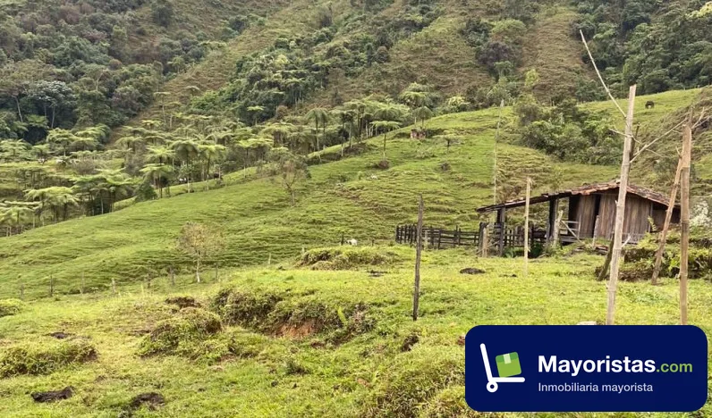 Finca cafetera de 170,7 ha en Andes, Antioquia — foto 9 de 10