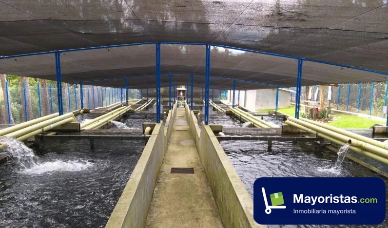 Finca agrícola de 2 ha en Sonsón, Antioquia