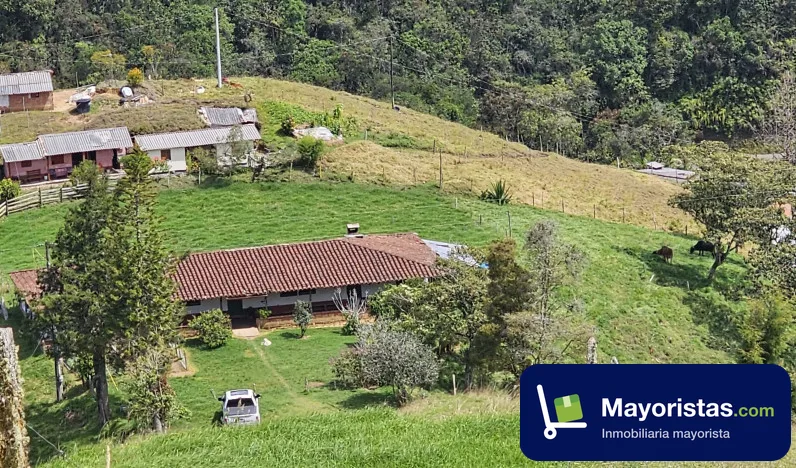 Finca ganadera de 31 ha en La Ceja, Antioquia — foto 10 de 10