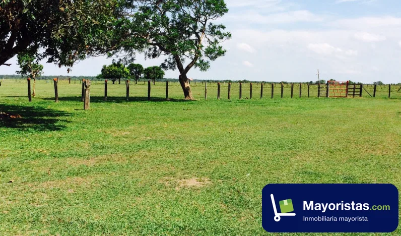 Finca ganadera de 11.830 ha en La Primavera, Vichada