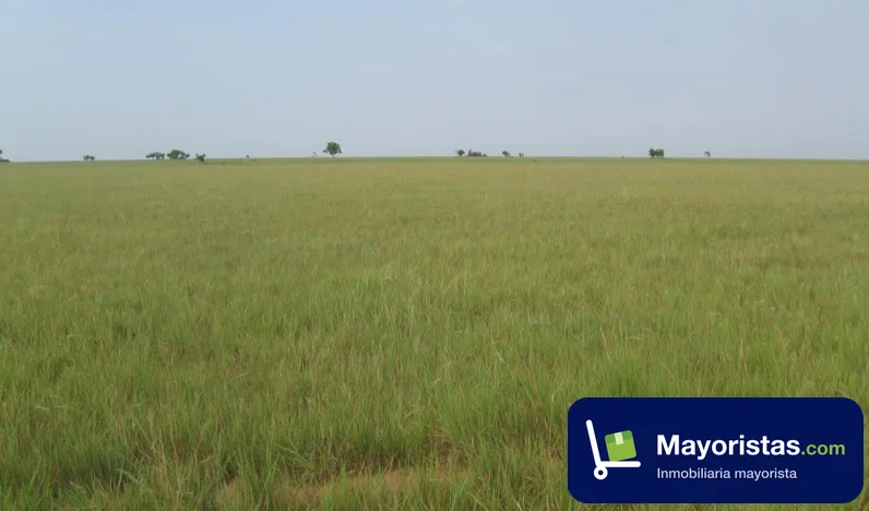 Finca agrícola de 20.000 ha en Cumaribo, Vichada