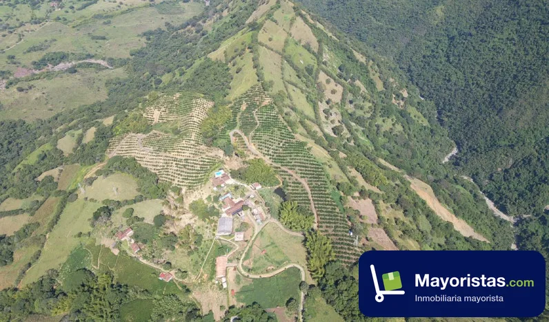 Finca ganadera de 155,5 ha en Venecia, Antioquia